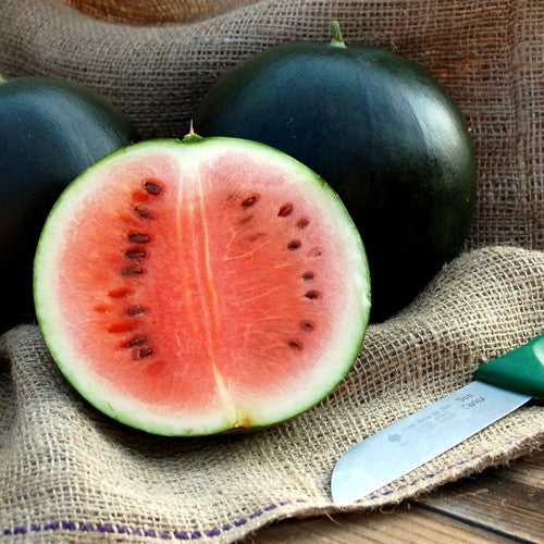 Organic Sugar Baby Watermelon