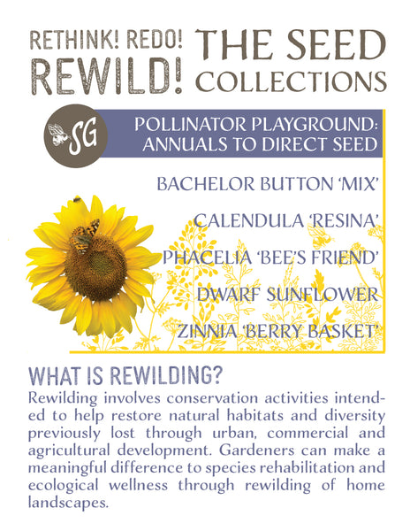 ReWilding - Pollinator Playground Seed Collection - Annuals to Direct Seed