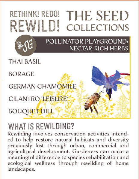 ReWilding - Pollinator Playground Seed Collection - Nectar Rich Herbs