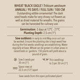 Seeds - Wheat, Black Eagle OG (SGH)
