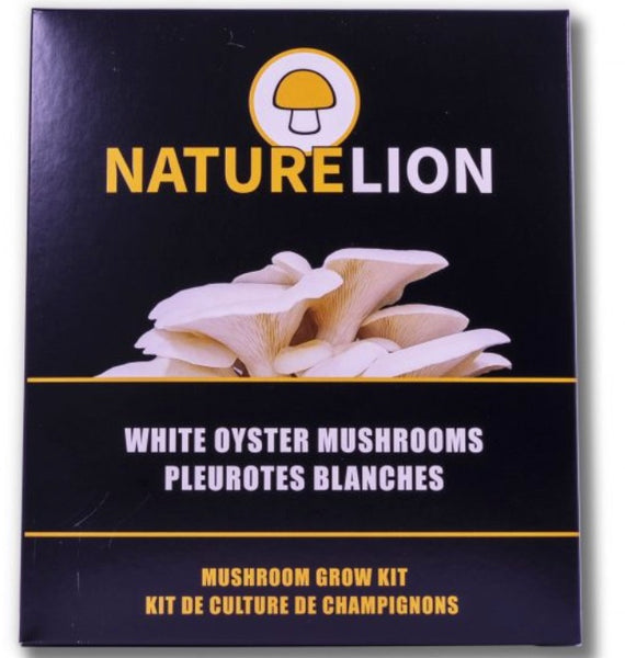 Mushroom Growing Kit - White Oyster