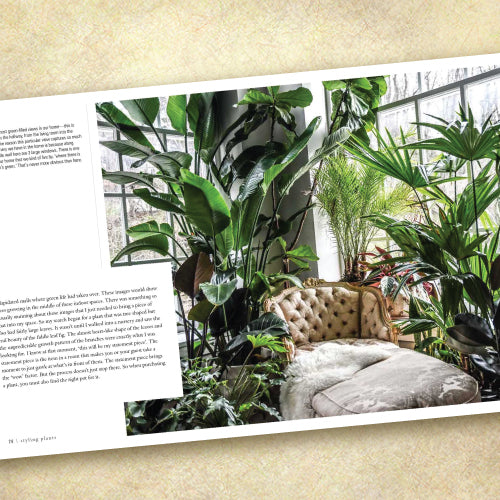 Wild at Home: How to style and care for beautiful plants (Discount Book)