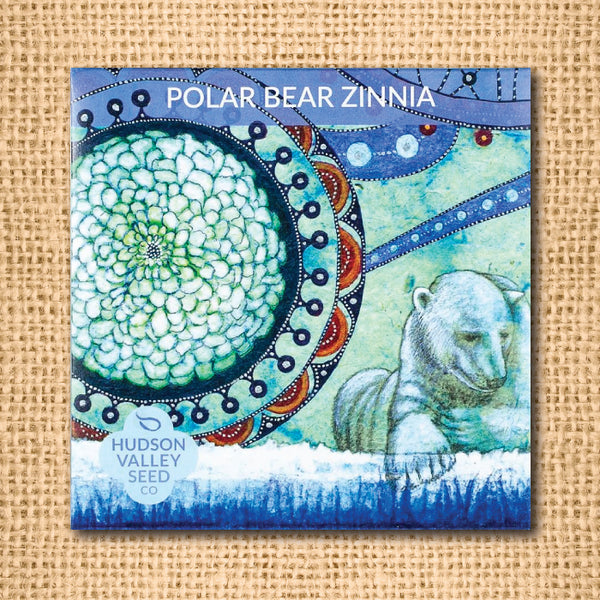 Seeds - Art Packs - Zinnia, Polar Bear OG