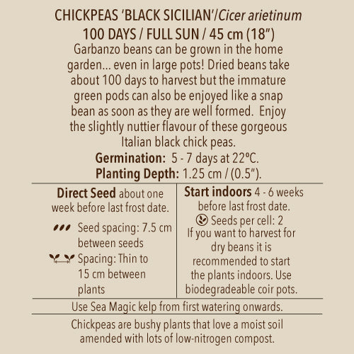 Seeds - Chickpeas, Black Sicilian OG (SGH)