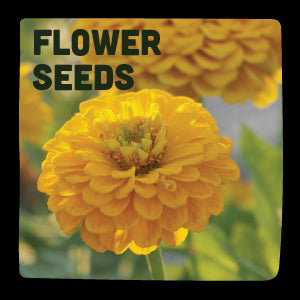 Flower Seeds